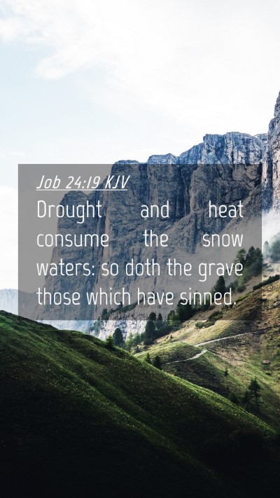 Picture 04 - Job 24:19 KJV Mobile Phone Wallpaper - Drought and heat consume the snow waters: so doth - Mobile Bible Verse Wallpaper