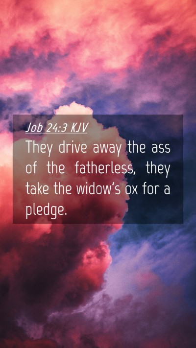 Picture 04 - Job 24:3 KJV Mobile Phone Wallpaper - They drive away the ass of the fatherless, they - Mobile Bible Verse Wallpaper