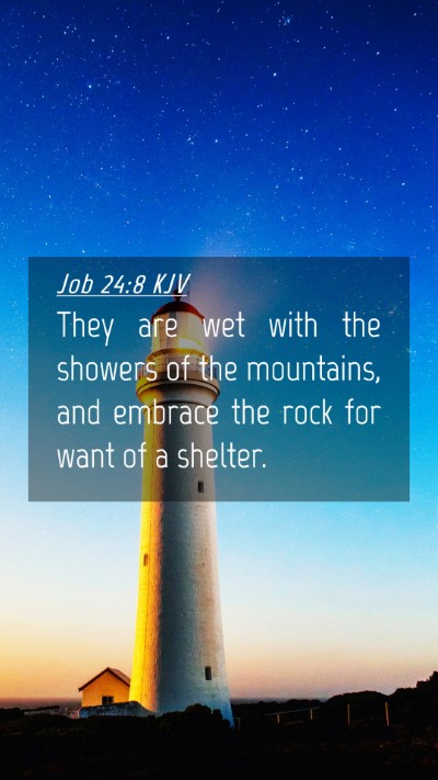 Picture 04 - Job 24:8 KJV Mobile Phone Wallpaper - They are wet with the showers of the mountains, - Mobile Bible Verse Wallpaper