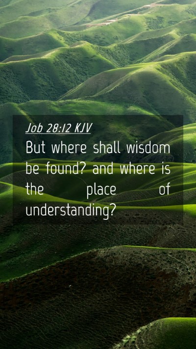 Picture 04 - Job 28:12 KJV Mobile Phone Wallpaper - But where shall wisdom be found? and where is the - Mobile Bible Verse Wallpaper