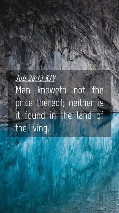 Picture 04 - Job 28:13 KJV Mobile Phone Wallpaper - Man knoweth not the price thereof; neither is it - Mobile Bible Verse Wallpaper