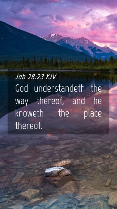 Picture 04 - Job 28:23 KJV Mobile Phone Wallpaper - God understandeth the way thereof, and he knoweth - Mobile Bible Verse Wallpaper