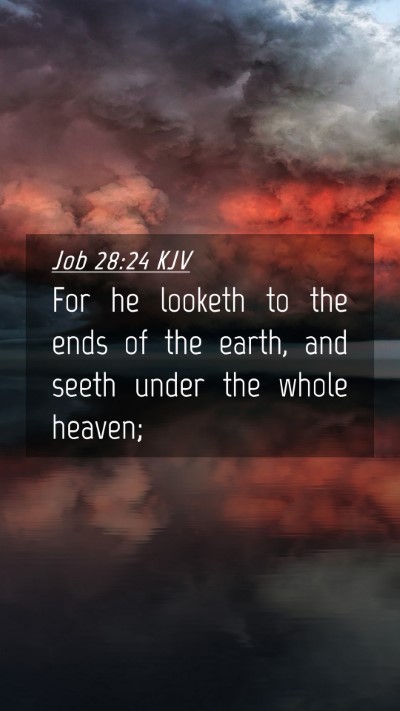 Picture 04 - Job 28:24 KJV Mobile Phone Wallpaper - For he looketh to the ends of the earth, and - Mobile Bible Verse Wallpaper