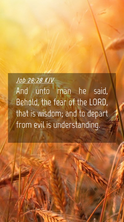 Picture 04 - Job 28:28 KJV Mobile Phone Wallpaper - And unto man he said, Behold, the fear of the - Mobile Bible Verse Wallpaper