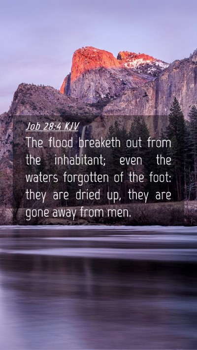 Picture 04 - Job 28:4 KJV Mobile Phone Wallpaper - The flood breaketh out from the inhabitant; even - Mobile Bible Verse Wallpaper