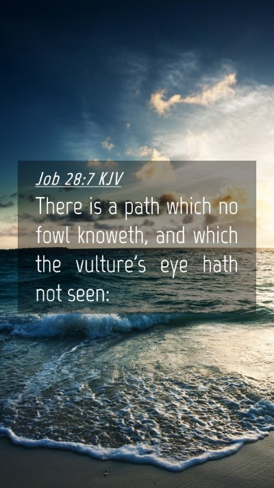 Picture 04 - Job 28:7 KJV Mobile Phone Wallpaper - There is a path which no fowl knoweth, and which - Mobile Bible Verse Wallpaper