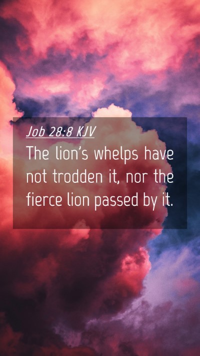 Picture 04 - Job 28:8 KJV Mobile Phone Wallpaper - The lion's whelps have not trodden it, nor the - Mobile Bible Verse Wallpaper