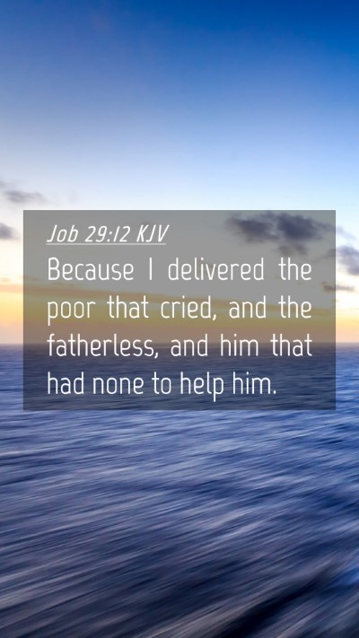 Picture 04 - Job 29:12 KJV Mobile Phone Wallpaper - Because I delivered the poor that cried, and the - Mobile Bible Verse Wallpaper
