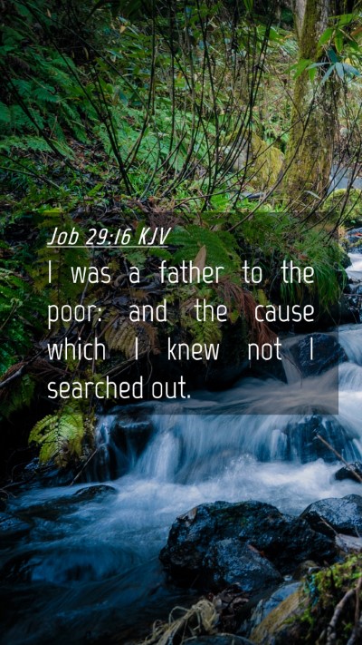 Picture 04 - Job 29:16 KJV Mobile Phone Wallpaper - I was a father to the poor: and the cause which I - Mobile Bible Verse Wallpaper