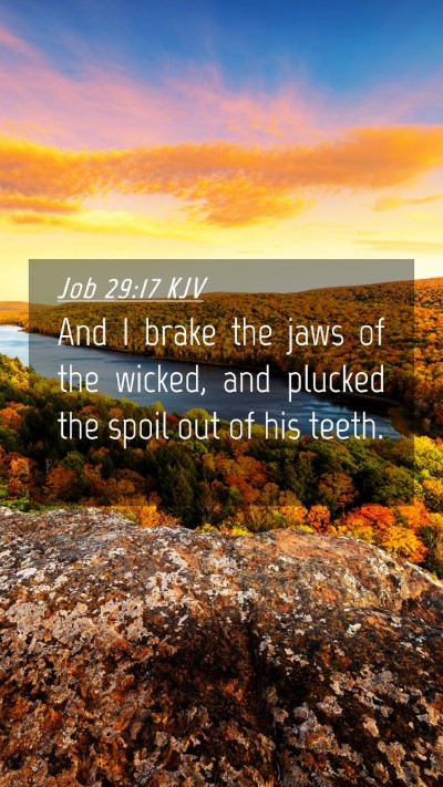 Picture 04 - Job 29:17 KJV Mobile Phone Wallpaper - And I brake the jaws of the wicked, and plucked - Mobile Bible Verse Wallpaper