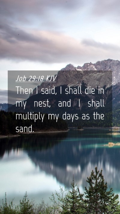 Picture 04 - Job 29:18 KJV Mobile Phone Wallpaper - Then I said, I shall die in my nest, and I shall - Mobile Bible Verse Wallpaper