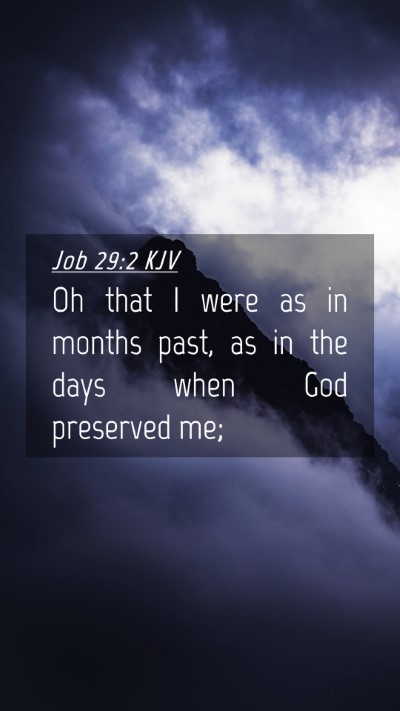 Picture 04 - Job 29:2 KJV Mobile Phone Wallpaper - Oh that I were as in months past, as in the days - Mobile Bible Verse Wallpaper