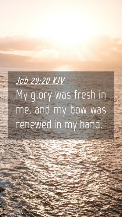 Picture 04 - Job 29:20 KJV Mobile Phone Wallpaper - My glory was fresh in me, and my bow was renewed - Mobile Bible Verse Wallpaper