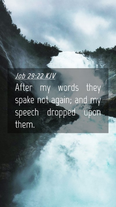 Picture 04 - Job 29:22 KJV Mobile Phone Wallpaper - After my words they spake not again; and my - Mobile Bible Verse Wallpaper