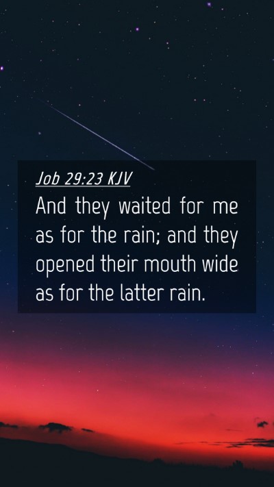 Picture 04 - Job 29:23 KJV Mobile Phone Wallpaper - And they waited for me as for the rain; and they - Mobile Bible Verse Wallpaper