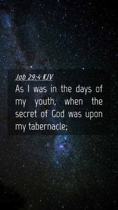 Picture 04 - Job 29:4 KJV Mobile Phone Wallpaper - As I was in the days of my youth, when the secret - Mobile Bible Verse Wallpaper