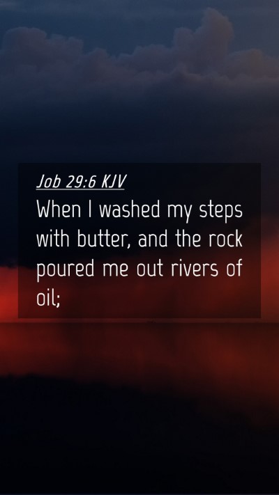 Picture 04 - Job 29:6 KJV Mobile Phone Wallpaper - When I washed my steps with butter, and the rock - Mobile Bible Verse Wallpaper