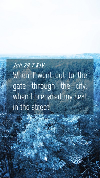 Picture 04 - Job 29:7 KJV Mobile Phone Wallpaper - When I went out to the gate through the city, - Mobile Bible Verse Wallpaper