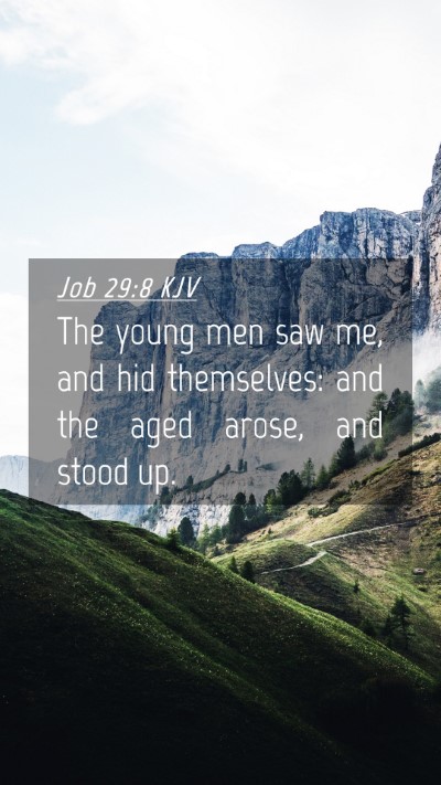 Picture 04 - Job 29:8 KJV Mobile Phone Wallpaper - The young men saw me, and hid themselves: and the - Mobile Bible Verse Wallpaper