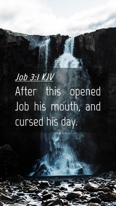 Picture 04 - Job 3:1 KJV Mobile Phone Wallpaper - After this opened Job his mouth, and cursed his - Mobile Bible Verse Wallpaper