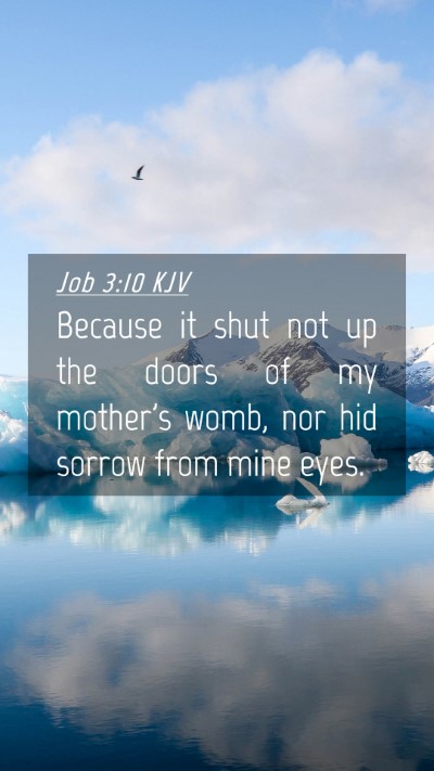 Picture 04 - Job 3:10 KJV Mobile Phone Wallpaper - Because it shut not up the doors of my mother's - Mobile Bible Verse Wallpaper
