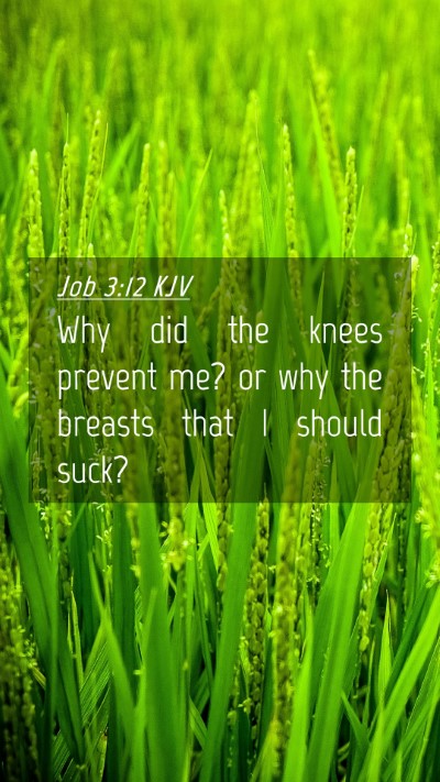 Picture 04 - Job 3:12 KJV Mobile Phone Wallpaper - Why did the knees prevent me? or why the breasts - Mobile Bible Verse Wallpaper