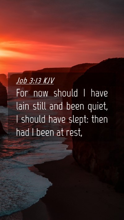 Picture 04 - Job 3:13 KJV Mobile Phone Wallpaper - For now should I have lain still and been quiet, - Mobile Bible Verse Wallpaper
