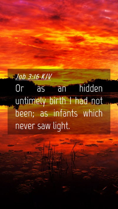 Picture 04 - Job 3:16 KJV Mobile Phone Wallpaper - Or as an hidden untimely birth I had not been; as - Mobile Bible Verse Wallpaper