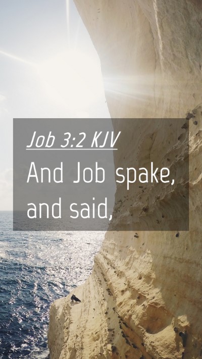 Picture 04 - Job 3:2 KJV Mobile Phone Wallpaper - And Job spake, and - Mobile Bible Verse Wallpaper