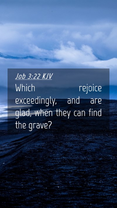 Picture 04 - Job 3:22 KJV Mobile Phone Wallpaper - Which rejoice exceedingly, and are glad, when - Mobile Bible Verse Wallpaper