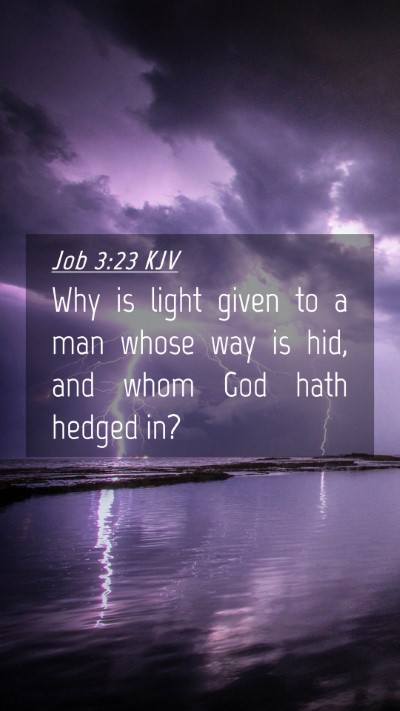 Picture 04 - Job 3:23 KJV Mobile Phone Wallpaper - Why is light given to a man whose way is hid, and - Mobile Bible Verse Wallpaper