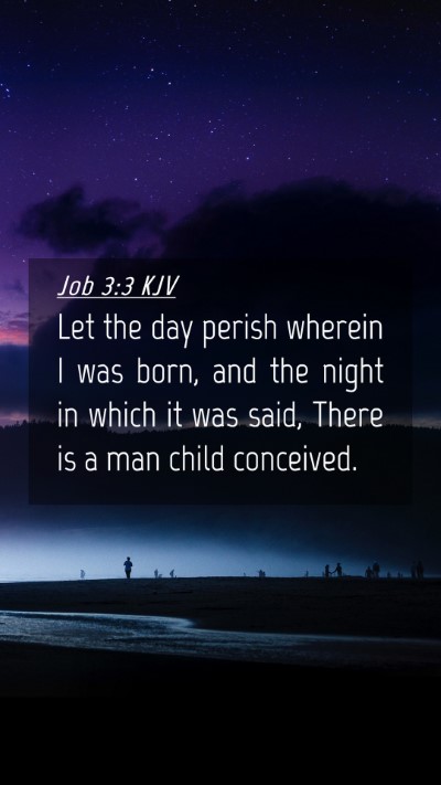 Picture 04 - Job 3:3 KJV Mobile Phone Wallpaper - Let the day perish wherein I was born, and the - Mobile Bible Verse Wallpaper