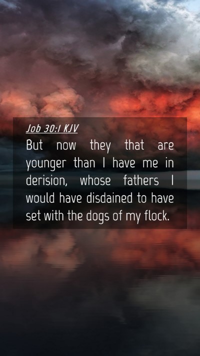 Picture 04 - Job 30:1 KJV Mobile Phone Wallpaper - But now they that are younger than I have me in - Mobile Bible Verse Wallpaper