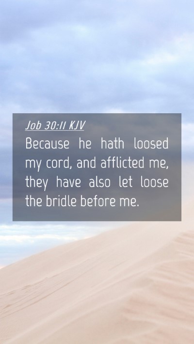 Picture 04 - Job 30:11 KJV Mobile Phone Wallpaper - Because he hath loosed my cord, and afflicted me, - Mobile Bible Verse Wallpaper