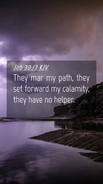 Picture 04 - Job 30:13 KJV Mobile Phone Wallpaper - They mar my path, they set forward my calamity, - Mobile Bible Verse Wallpaper