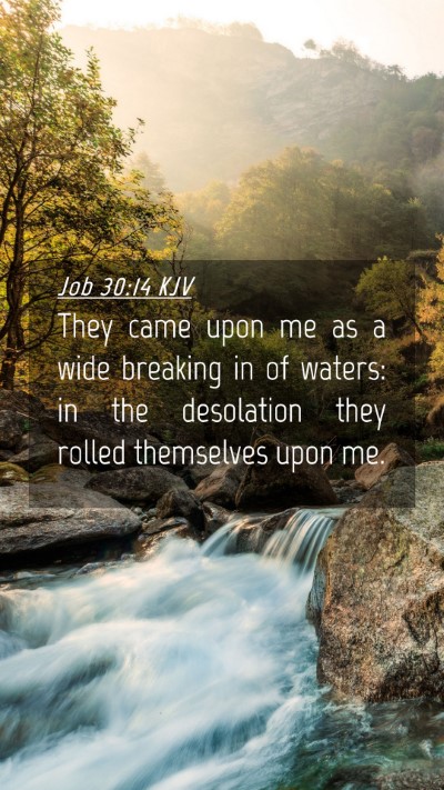 Picture 04 - Job 30:14 KJV Mobile Phone Wallpaper - They came upon me as a wide breaking in of - Mobile Bible Verse Wallpaper