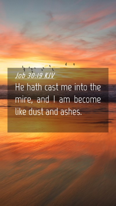 Picture 04 - Job 30:19 KJV Mobile Phone Wallpaper - He hath cast me into the mire, and I am become - Mobile Bible Verse Wallpaper