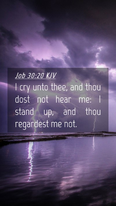 Picture 04 - Job 30:20 KJV Mobile Phone Wallpaper - I cry unto thee, and thou dost not hear me: I - Mobile Bible Verse Wallpaper