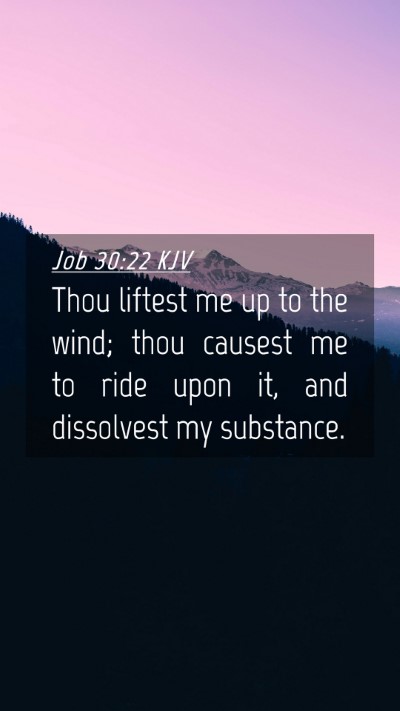 Picture 04 - Job 30:22 KJV Mobile Phone Wallpaper - Thou liftest me up to the wind; thou causest me - Mobile Bible Verse Wallpaper