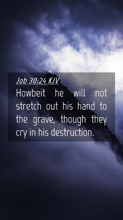 Picture 04 - Job 30:24 KJV Mobile Phone Wallpaper - Howbeit he will not stretch out his hand to the - Mobile Bible Verse Wallpaper