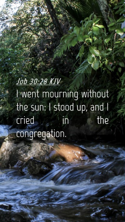 Picture 04 - Job 30:28 KJV Mobile Phone Wallpaper - I went mourning without the sun: I stood up, and - Mobile Bible Verse Wallpaper