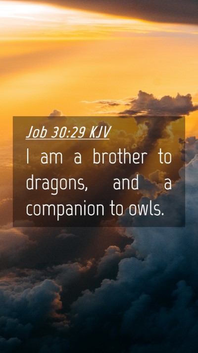 Picture 04 - Job 30:29 KJV Mobile Phone Wallpaper - I am a brother to dragons, and a companion to - Mobile Bible Verse Wallpaper