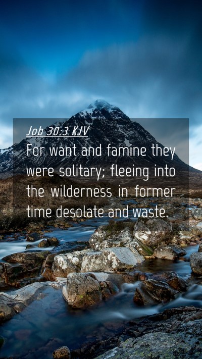 Picture 04 - Job 30:3 KJV Mobile Phone Wallpaper - For want and famine they were solitary; fleeing - Mobile Bible Verse Wallpaper