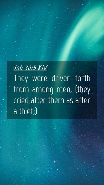 Picture 04 - Job 30:5 KJV Mobile Phone Wallpaper - They were driven forth from among men, (they - Mobile Bible Verse Wallpaper