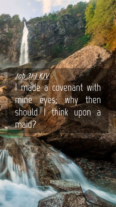 Picture 04 - Job 31:1 KJV Mobile Phone Wallpaper - I made a covenant with mine eyes; why then should - Mobile Bible Verse Wallpaper