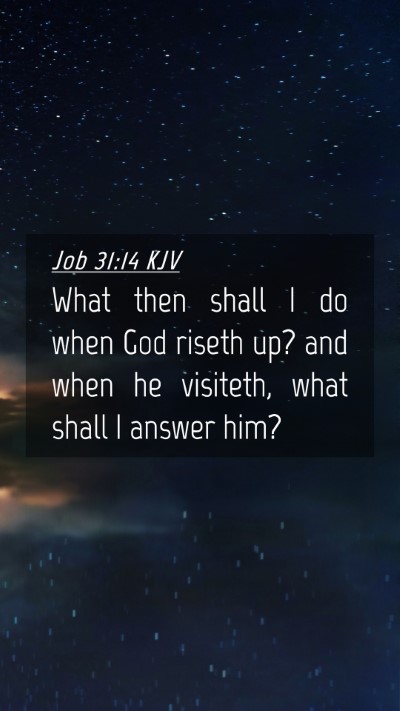 Picture 04 - Job 31:14 KJV Mobile Phone Wallpaper - What then shall I do when God riseth up? and when - Mobile Bible Verse Wallpaper