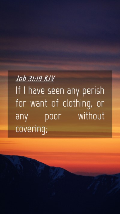 Picture 04 - Job 31:19 KJV Mobile Phone Wallpaper - If I have seen any perish for want of clothing, - Mobile Bible Verse Wallpaper