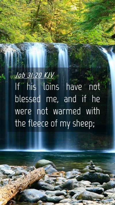 Picture 04 - Job 31:20 KJV Mobile Phone Wallpaper - If his loins have not blessed me, and if he were - Mobile Bible Verse Wallpaper