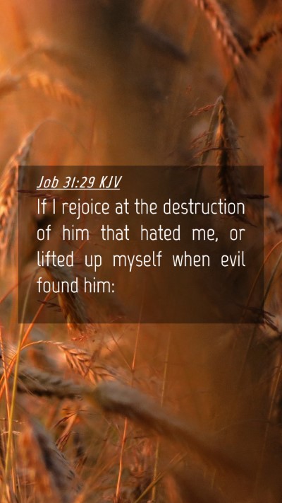 Picture 04 - Job 31:29 KJV Mobile Phone Wallpaper - If I rejoice at the destruction of him that hated - Mobile Bible Verse Wallpaper