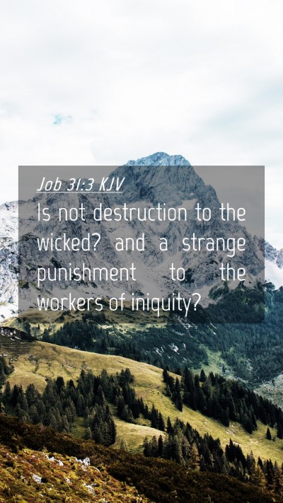 Picture 04 - Job 31:3 KJV Mobile Phone Wallpaper - Is not destruction to the wicked? and a strange - Mobile Bible Verse Wallpaper